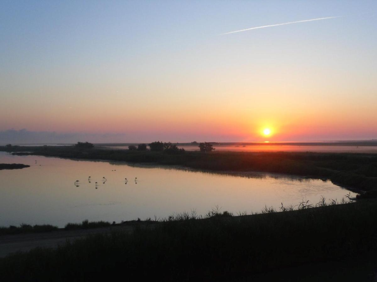 סן-מארי-דה-לה-מאר Chambre Les Flamants, Avec Vue Imprenable Sur Les Etangs, Les Oiseaux, La Nature, Petit Dejeuner Compris מראה חיצוני תמונה